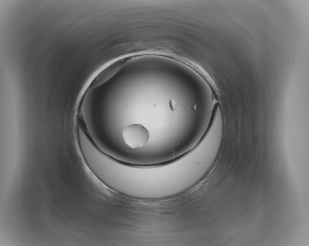 X0000112171532200908071148