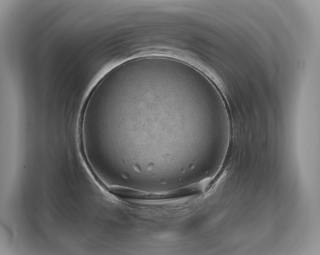 X0000112171533200908071148