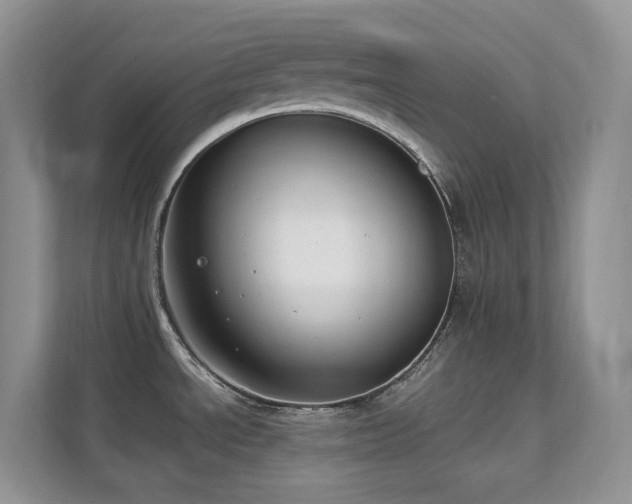 X0000112171534200908071148