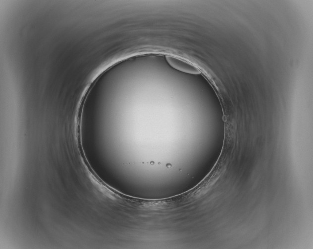 X0000112171535200908071148