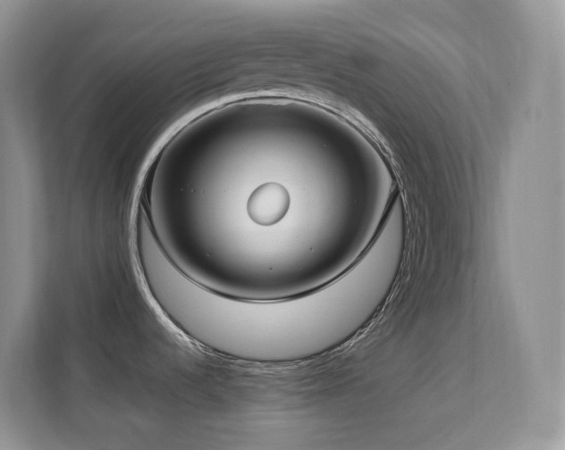 X0000112171536200908071148