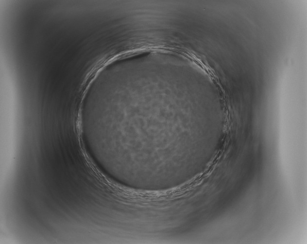 X0000112170002200908141315