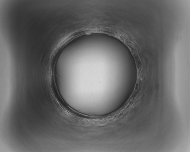 X0000112170005200908141315