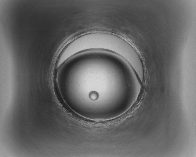 X0000112170007200908141315