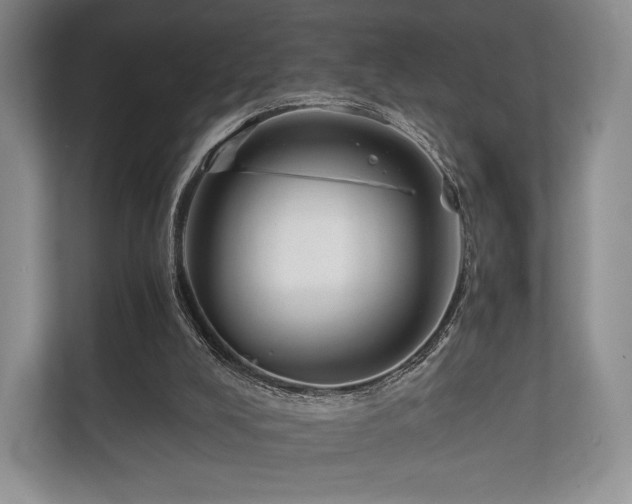 X0000112170008200908141315