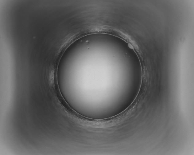 X0000112170010200908141315