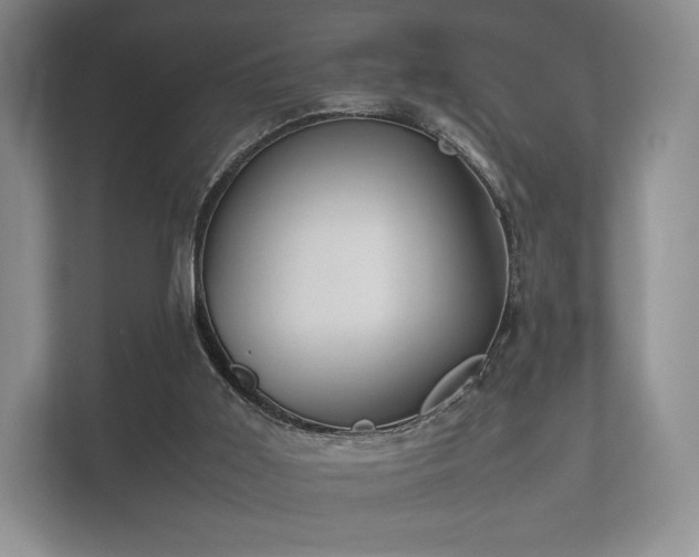 X0000112170011200908141315