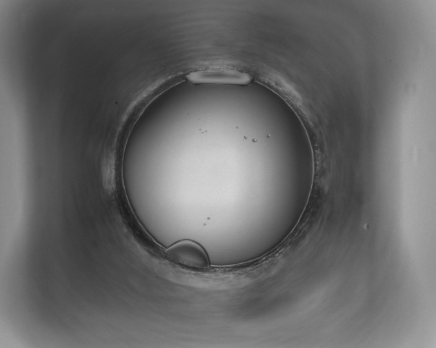 X0000112170012200908141315