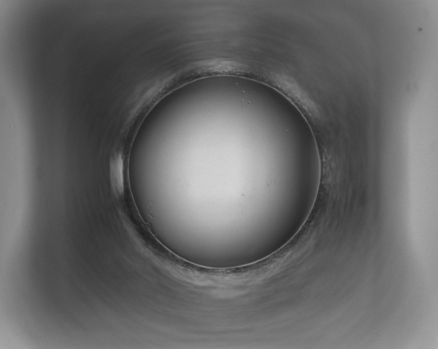 X0000112170014200908141315