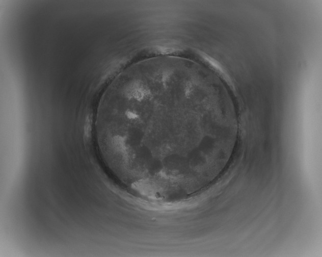 X0000112170018200908141315