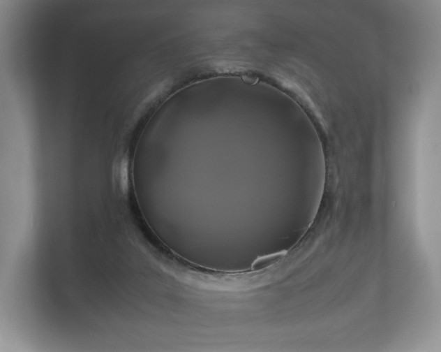 X0000112170019200908141315