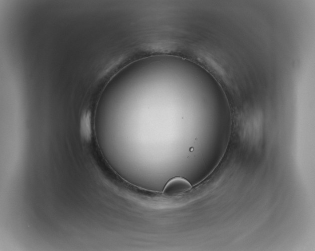 X0000112170020200908141315