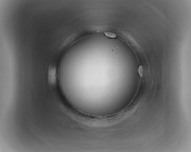 X0000112170024200908141315