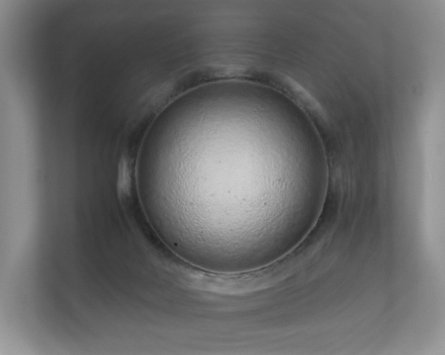 X0000112170026200908141315