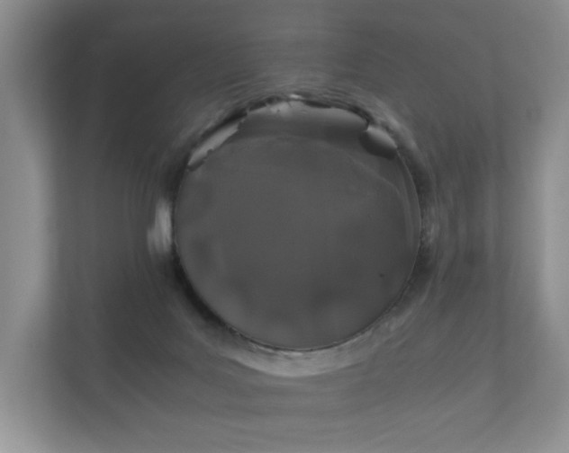 X0000112170027200908141315