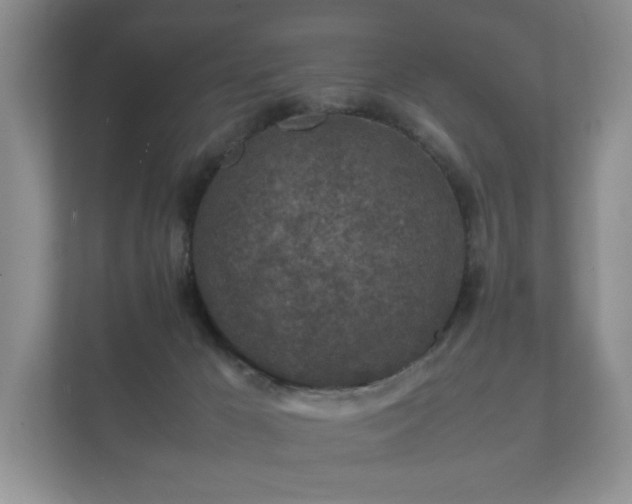 X0000112170029200908141314