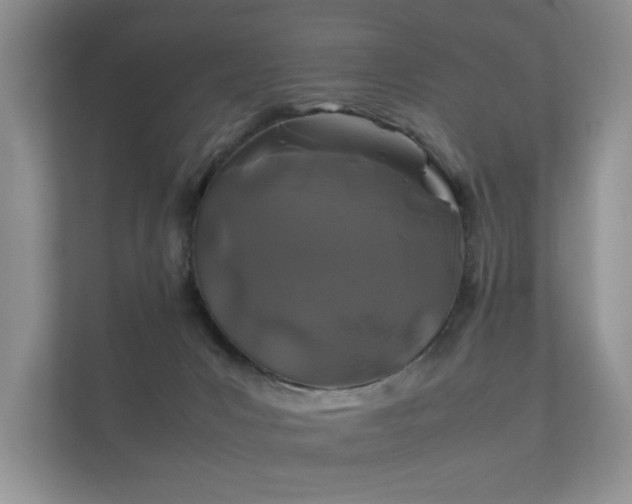 X0000112170031200908141314