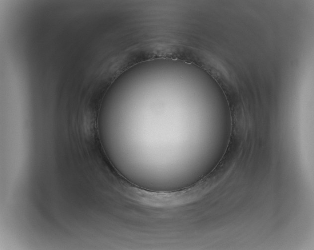 X0000112170034200908141314