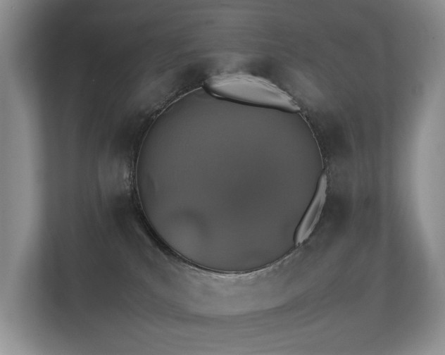 X0000112170039200908141314