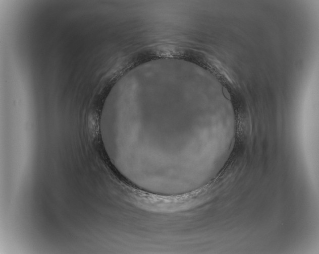 X0000112170043200908141314