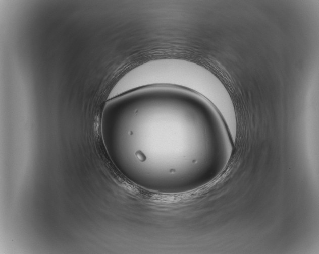 X0000112170045200908141314