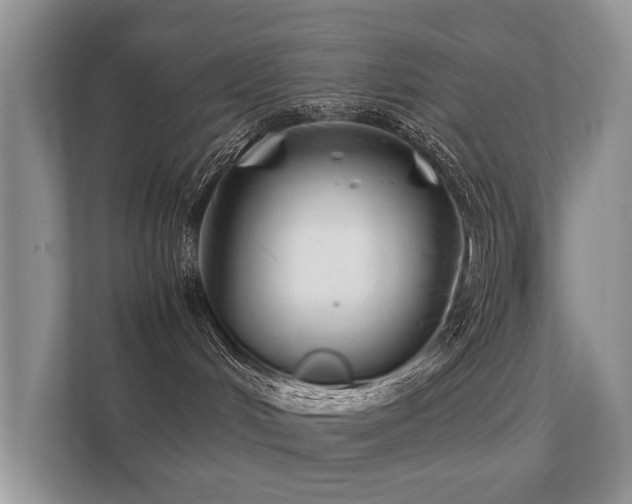 X0000112170048200908141314