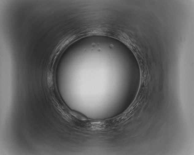 X0000112170050200908141314