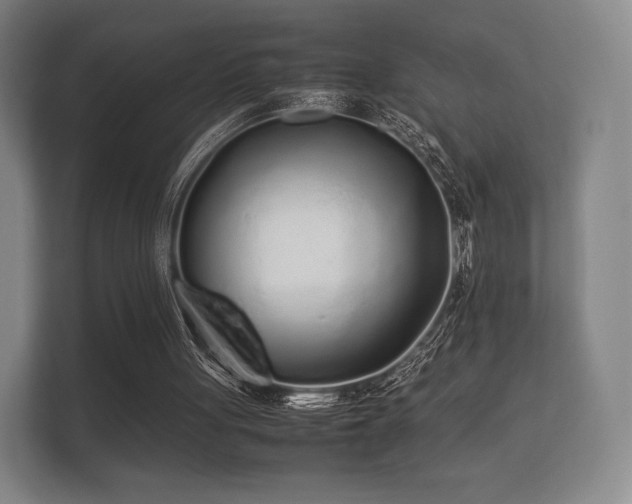 X0000112170051200908141314