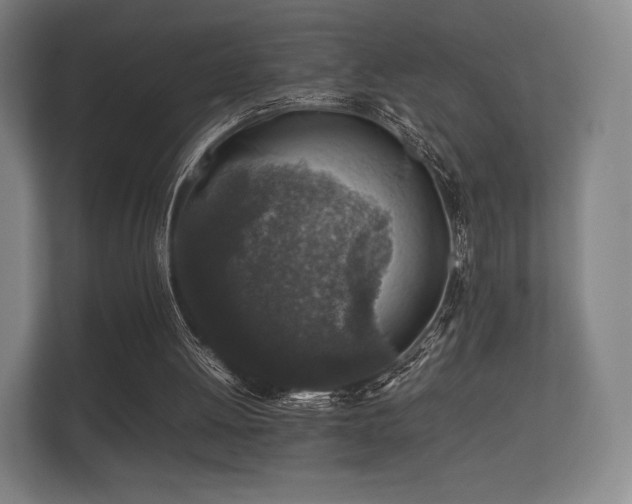 X0000112170052200908141314