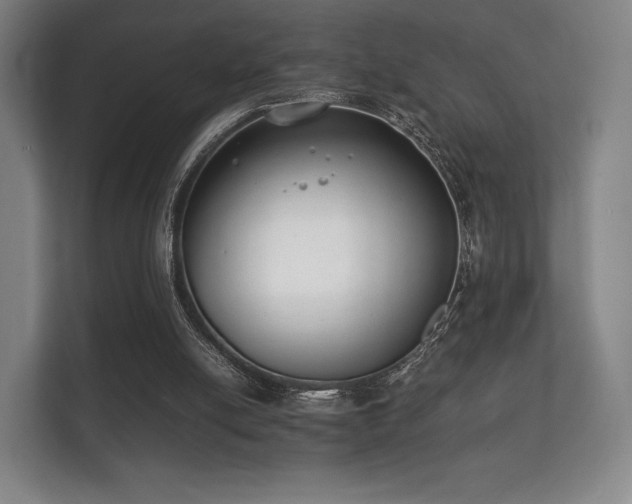 X0000112170054200908141314