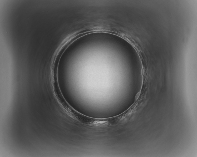 X0000112170055200908141314