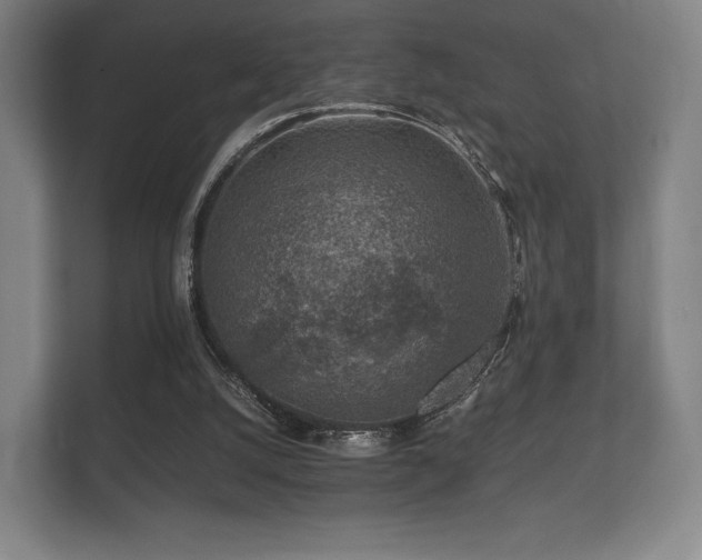 X0000112170056200908141314