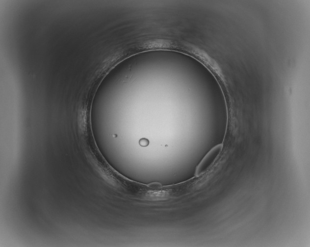 X0000112170057200908141314