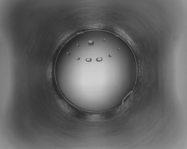 X0000112170058200908141314