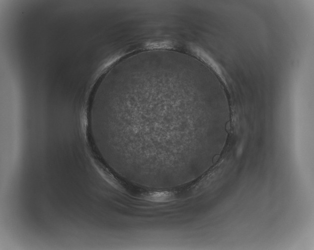 X0000112170059200908141314