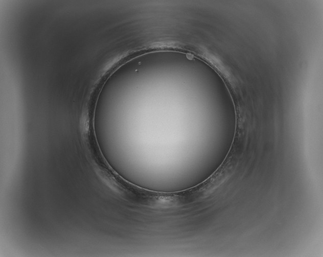 X0000112170060200908141314