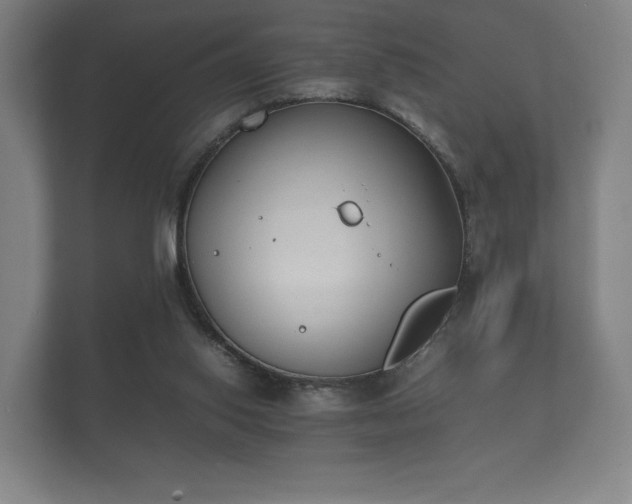 X0000112170062200908141314