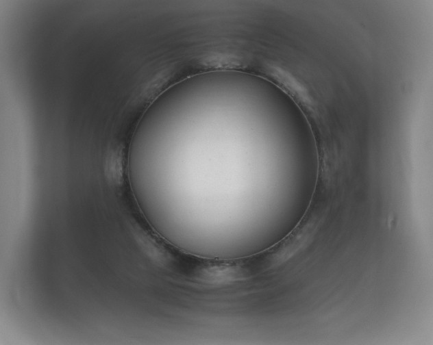 X0000112170065200908141314