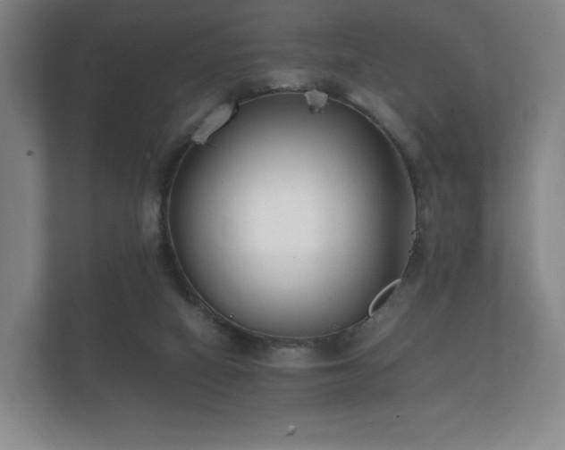 X0000112170066200908141314