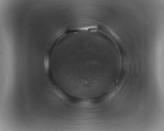 X0000112170076200908141314