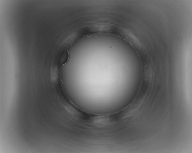 X0000112170077200908141314