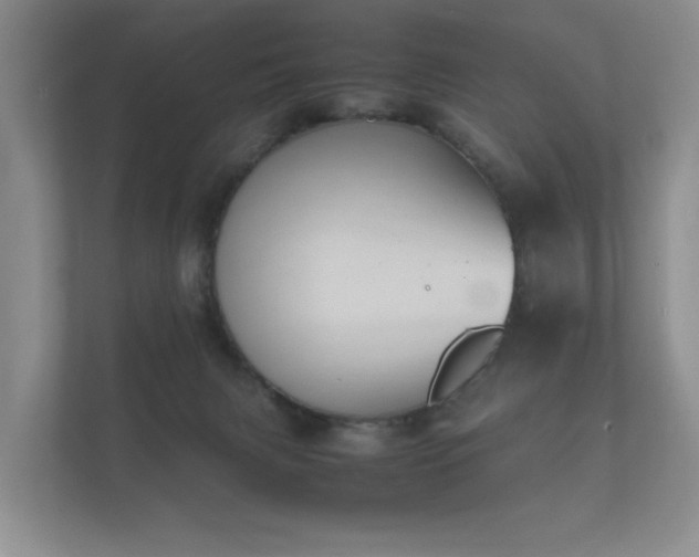 X0000112170079200908141314