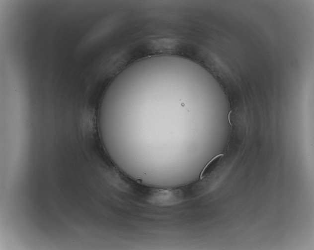 X0000112170083200908141314