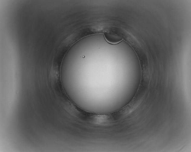 X0000112170085200908141314