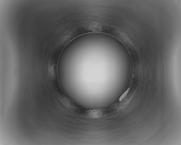 X0000112170088200908141314