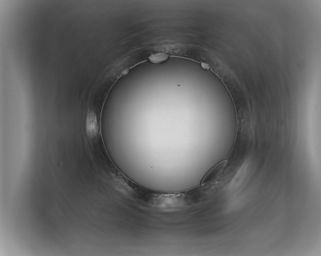 X0000112170089200908141314