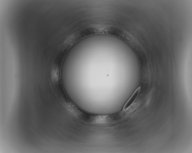 X0000112170090200908141314