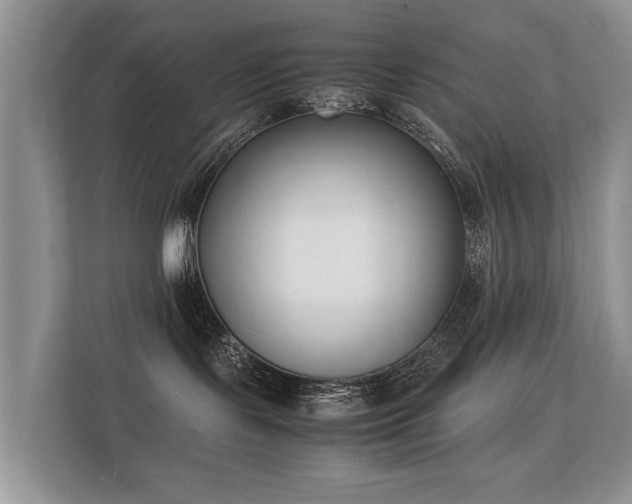 X0000112170095200908141314