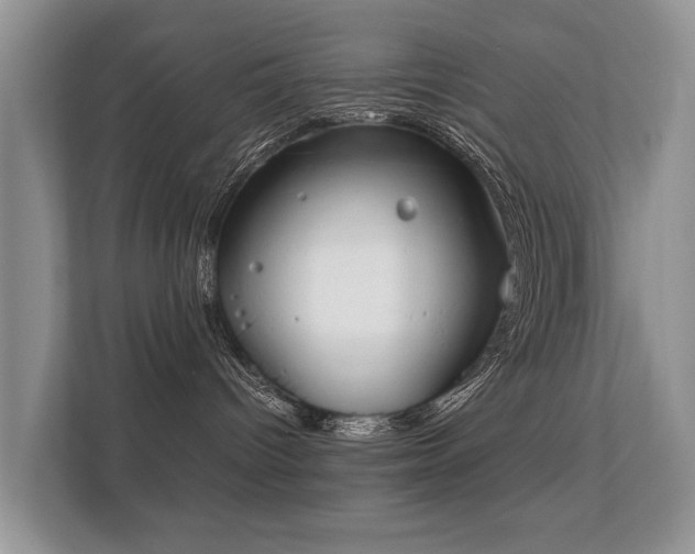 X0000112170096200908141314