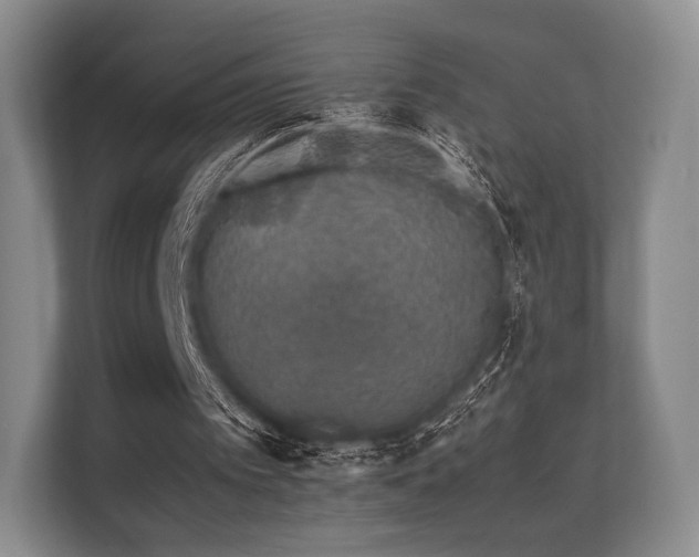 X0000112170097200908141314